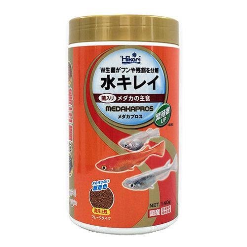 光る目が綺麗なアフリカンランプアイの基本的な飼育方法 アクアリウムの始め方