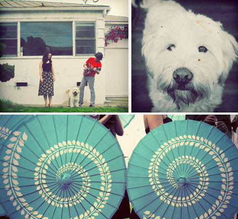Feather-love-photography photography love pictures. Feather-love-photography