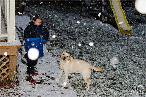 Snow October! 03