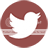  photo twitter_2.png