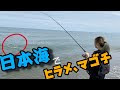 √70以上 サーフ マゴチ 釣り方 218745-サーフ マゴチ 釣り方