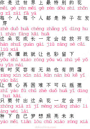 Smap 世界に一つだけの花 中国語の歌詞 どんと来い中国語