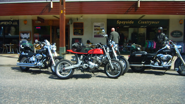 Nice Norton