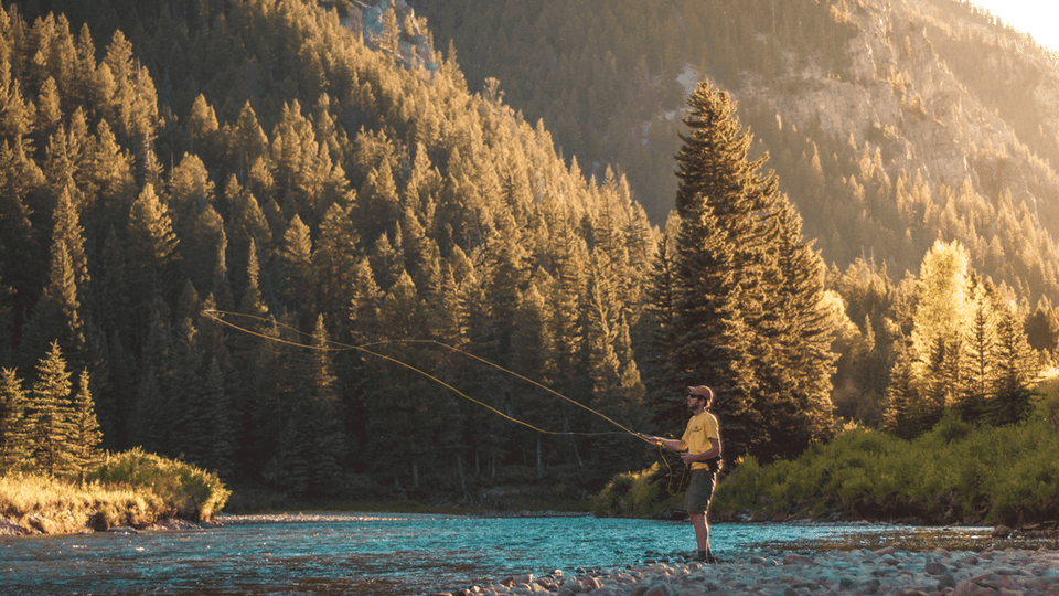 green nature photo 13