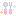 ごはん