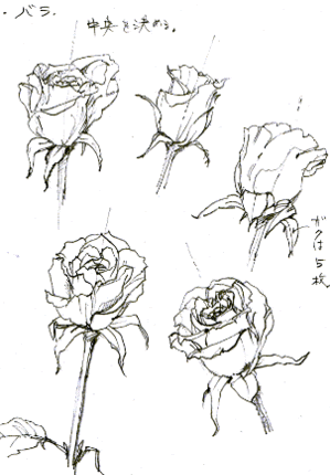 面白まじめ好奇心 バラの描き方 黄色いバラ