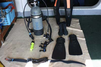 さつま 一般公開ｉｎ志布志 10管バディ