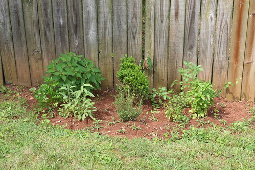 herb garden