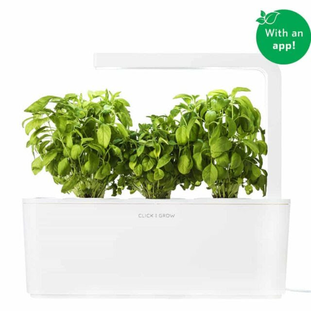 Click &amp; Grow Review &amp; Giveaway - Steamy Kitchen Recipes
