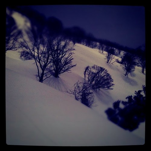 重いパウダーでしたが良かったです