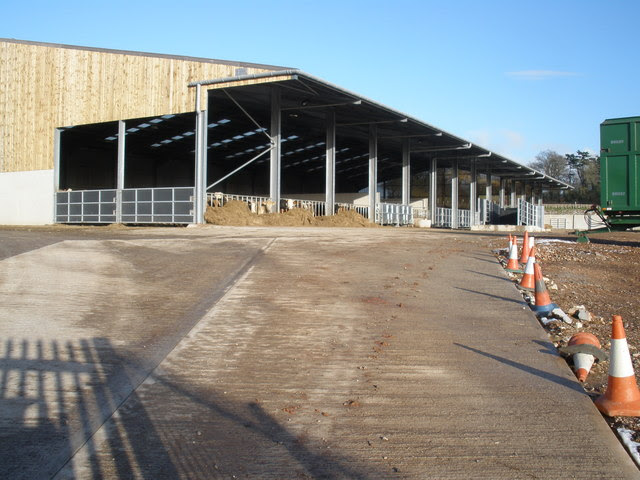 Calf Shed Joy Studio Design Gallery - Best Design