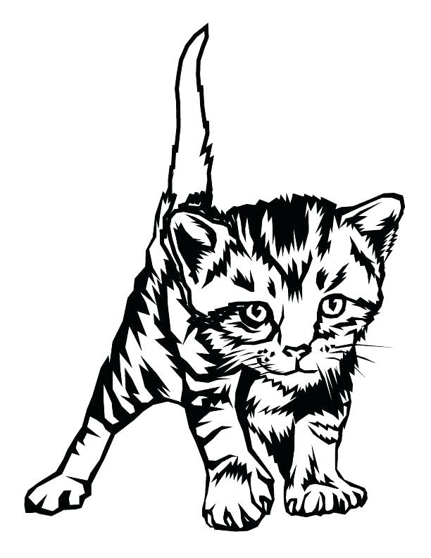 Download The best free Kitten drawing images. Download from 1132 ...