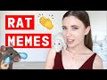 [10000 téléchargés √] image rat meme 294452-Rat picture meme