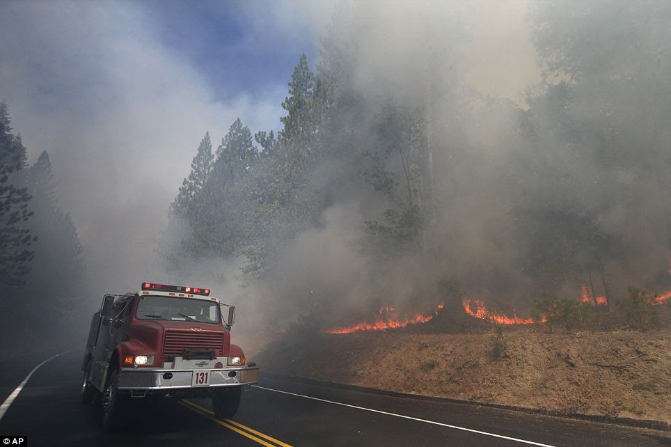 Still burning: A fire truck drives past burning trees as firefighters continue to battle the Rim Fire near Yosemite National Park