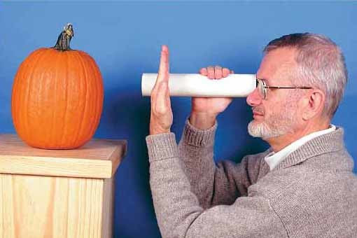 Rivalidad Binocular
