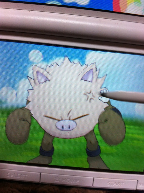 色違いに釘付け マンキー オコリザル Xy