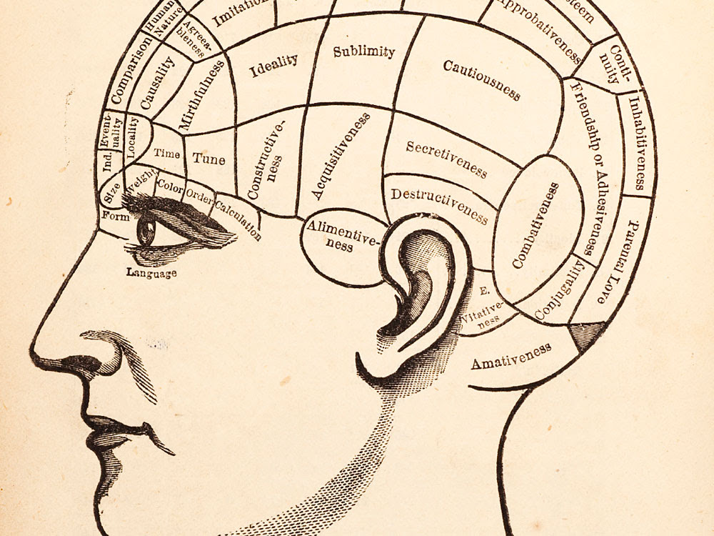 Vintage medical  illustration of brain