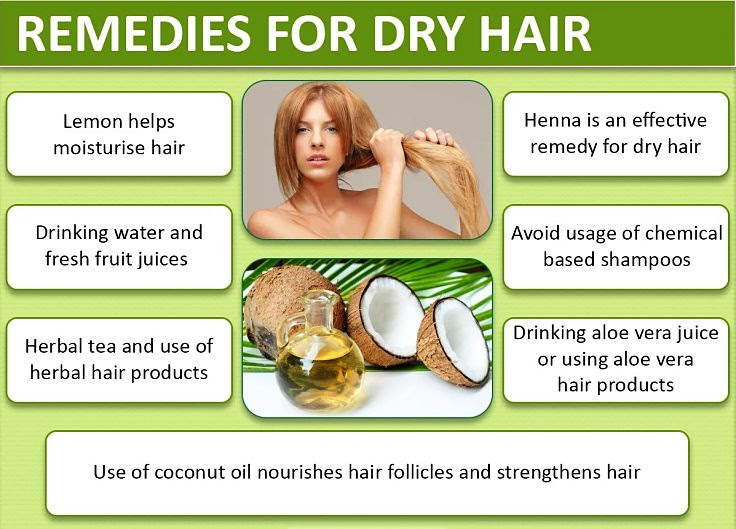 Best Treatment For Dry Hair Using Natural Home Remedies
