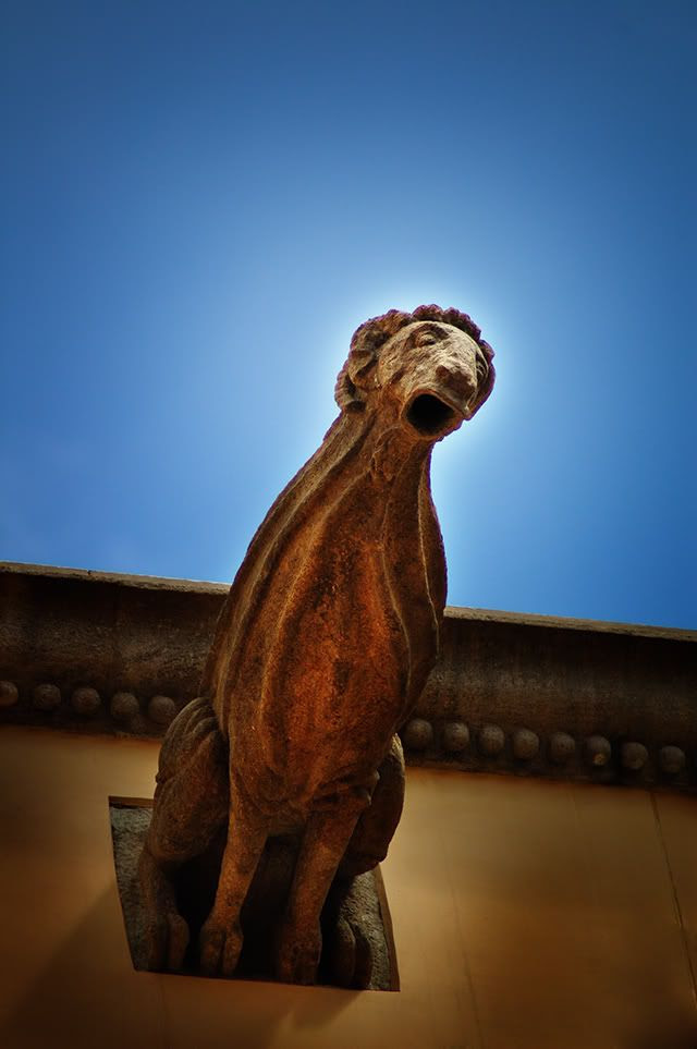 Gargoyle at Plaza del Rey, Barcelona [enlarge]