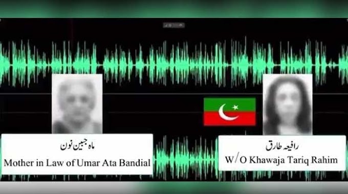 Audio call between CJP Bandial's mother-in-law, PTI lawyer's wife leaked