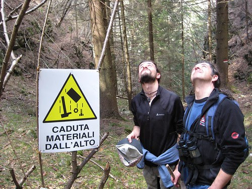 Pericolo @ Trentino