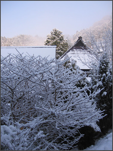 16 shade and pink sunshine