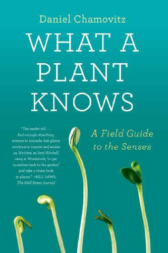 What a Plant Knows: A Field Guide to the Senses, by Daniel Chamovitz What a Plant Knows: A Field Guide to the Senses, by Daniel Chamovitz