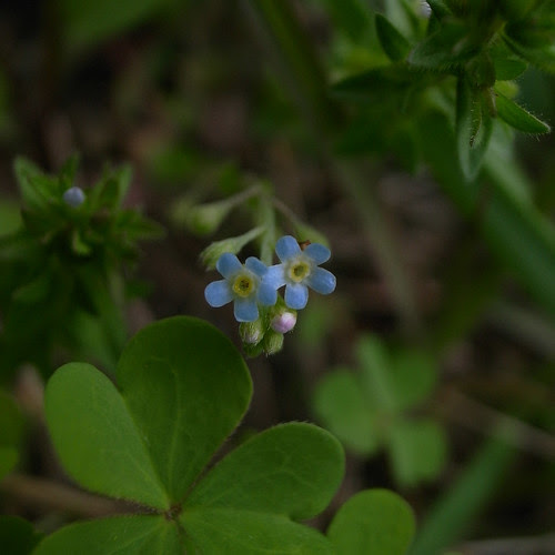 R0010718