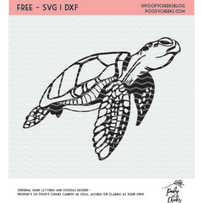 Download Sea Turtle Svg Dxf And Png For Silhouette And Cricut Poofy Cheeks
