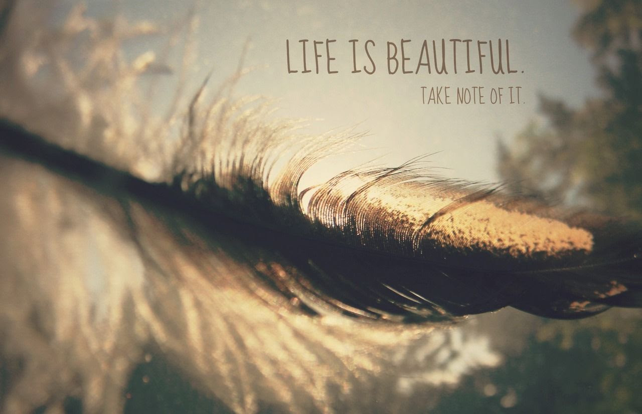 Life Is Beautiful Take Note Of It Pictures Photos And Images For