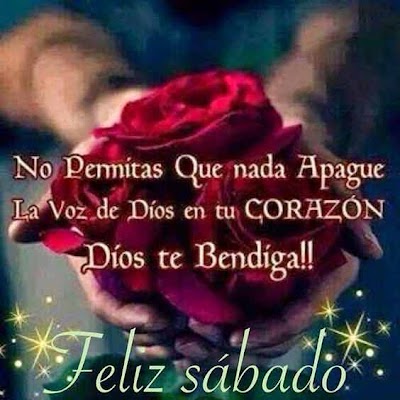 Feliz sábado frases bonitas