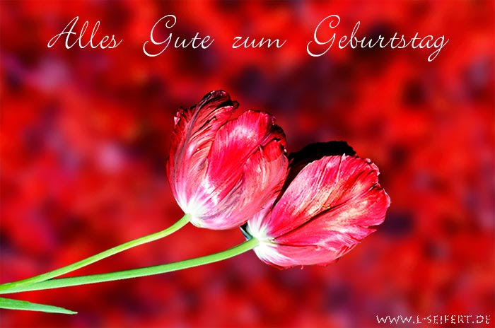 einladung geburtstag kostenlos ausdrucken