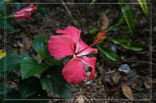 PICT6824