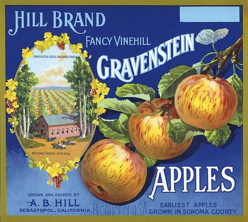 vine hill label_tatteredandlost