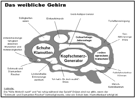 Das weibliche gehirn buch