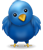 Follow on Twitter