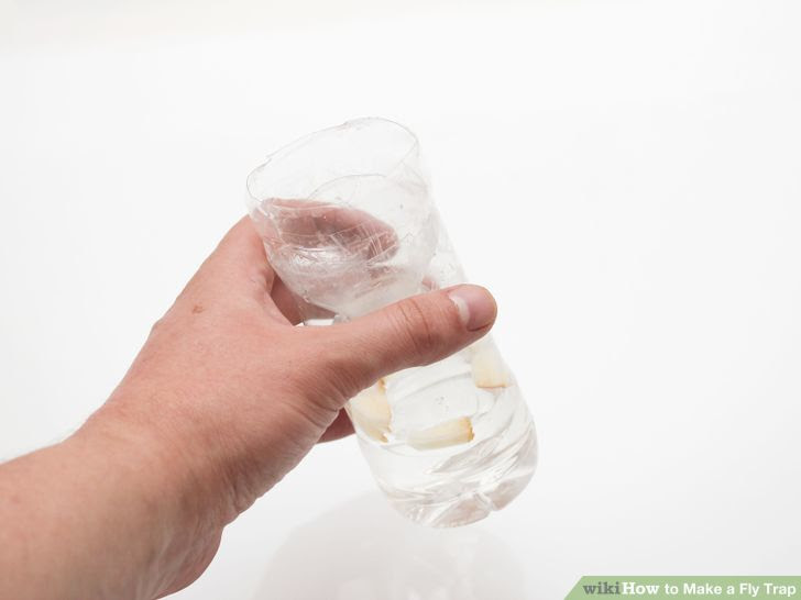 Make a Fly Trap Step 10 Version 3.jpg
