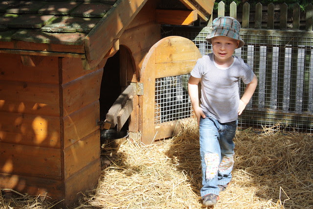 Bei den Minipigs