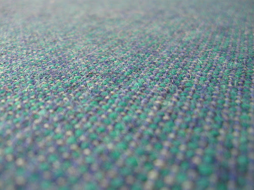 Avoca closeup2