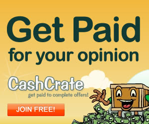 Paid Online Focus Group on Online Shoppers and Sellers ($125)