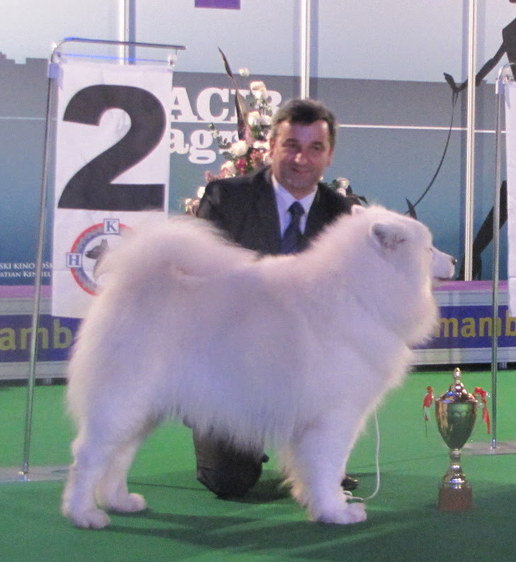 amor vincit omnia calligraphy. amor vincit omnia calligraphy