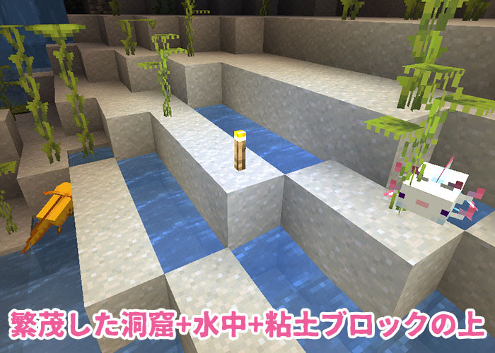 マイクラ ウーパールーパーはどこ 繁殖や行動について解説 マイクラモール