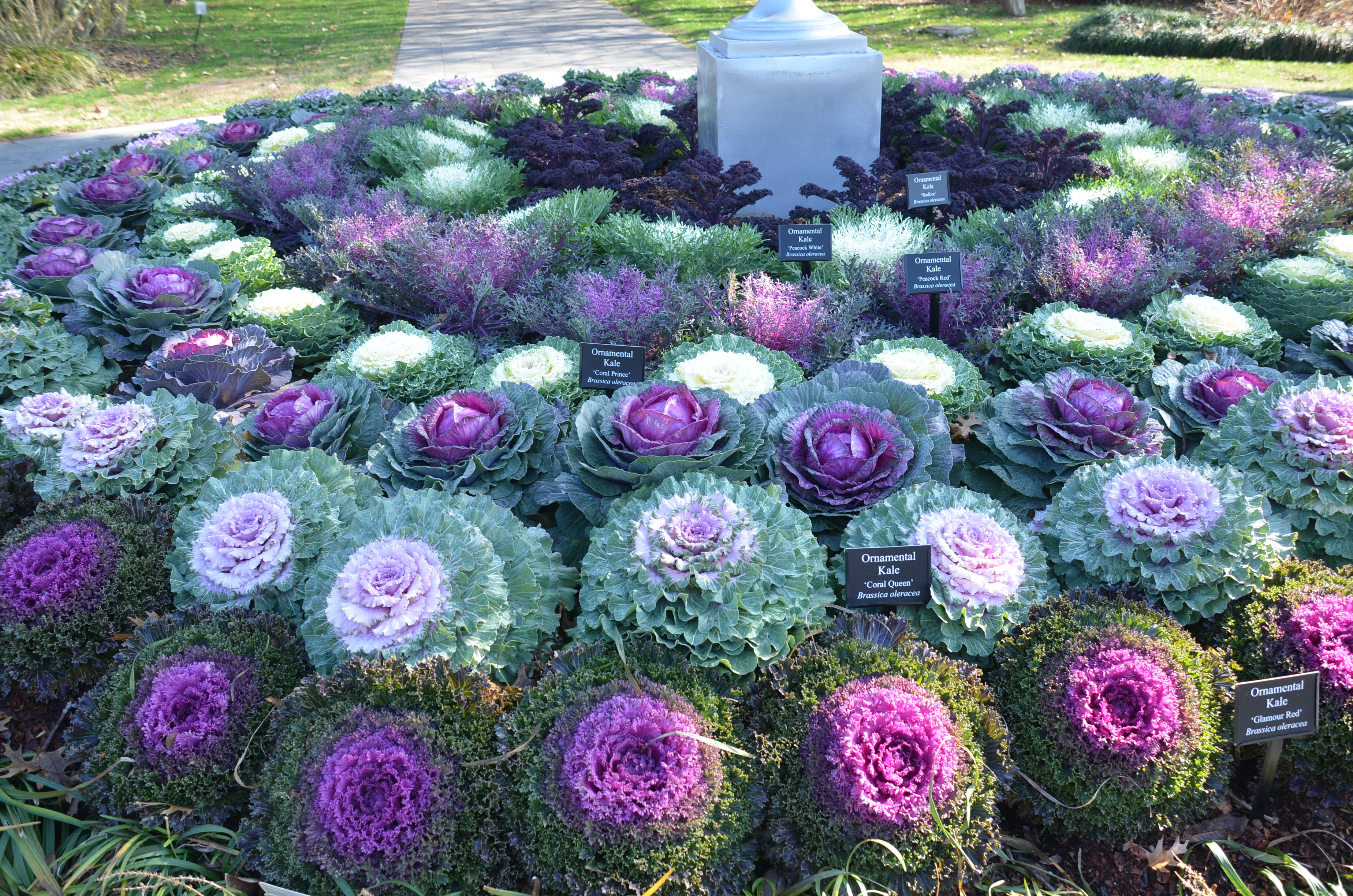 Reawaken Your Garden This Fall | What Grows There :: Hugh ...
