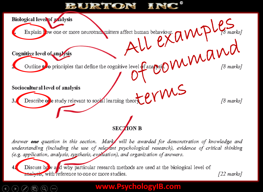 Imp essay for ib exam 2015