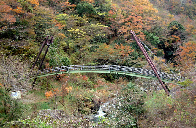 せんだん轟吊橋 熊本県八代市泉町