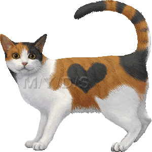 日本猫 三毛猫 ミケネコのイラスト 条件付フリー素材集