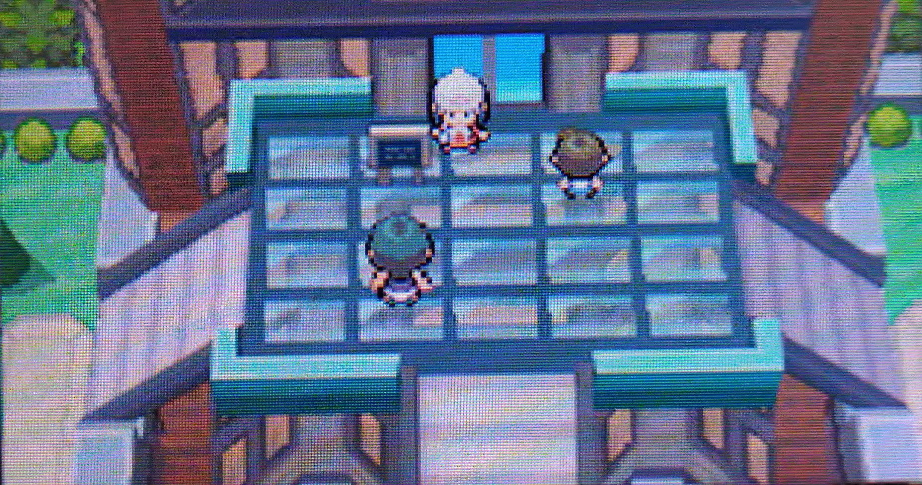 ポケモン第4世代 ０からのバトルタワー攻略 実践編 シングル ダブル 通信マルチ Npcマルチ ｄｐｔ ｈｇｓｓ もぴぷねのブログ そんなのひとのかって