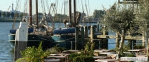De Maas