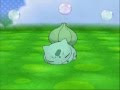 70以上 かわいい フシギダネ アニメ 511446-かわいい フシギダネ アニメ