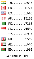 visitors by country counter